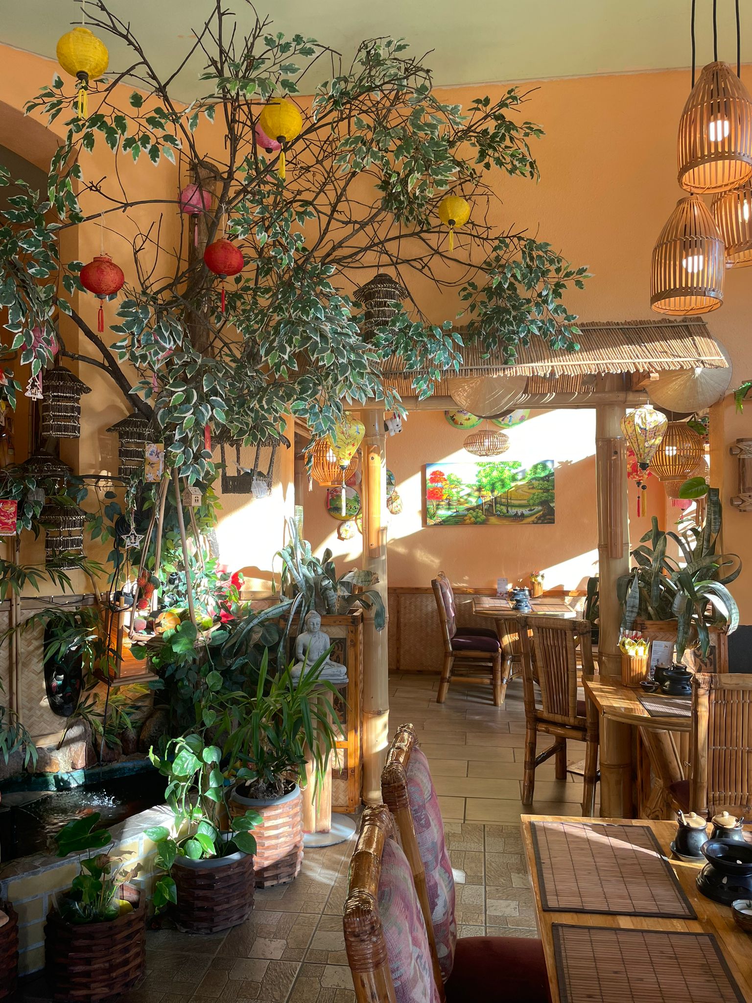Gemütliches Café mit Pflanzen, bunten Lampen, Holzmöbeln und Sonneneinstrahlung.